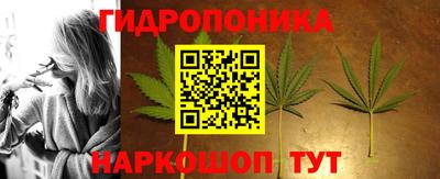 мдпв Гатчина